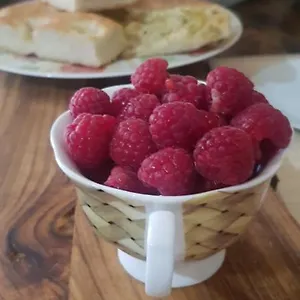 La Damigiana Fioì Bed & Breakfast Piano di Follo